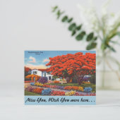 Florida, Flamboyant Postkarte (Stehend Vorderseite)