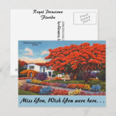 Florida, Flamboyant Postkarte (Vorne/Hinten)