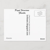 Florida, Flamboyant Postkarte (Rückseite)