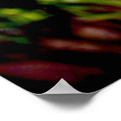 Florida Flamingo 1 Poster (Ecke)