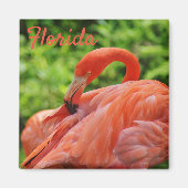 Florida Flamingo Magnet Square (Vorne)