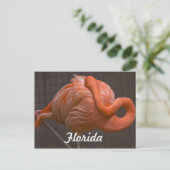 Florida Flamingo Postcard Postkarte (Stehend Vorderseite)