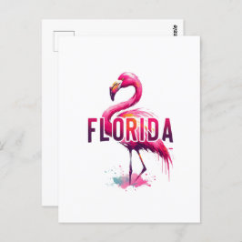 Florida, Flamingo, Postüberquerung Postkarte