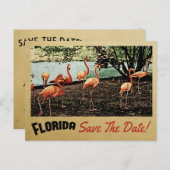 Florida Flamingo Save the Date Vintage Postkarten (Vorne/Hinten)