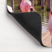 Florida-Flamingos Mousepad (Ecke)