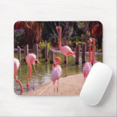 Florida-Flamingos Mousepad (Mit Mouse)
