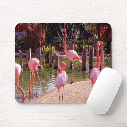 Florida-Flamingos Mousepad (Mit Mouse)