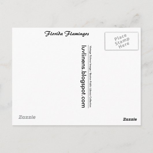 Florida, Flamingos Postkarte (Rückseite)