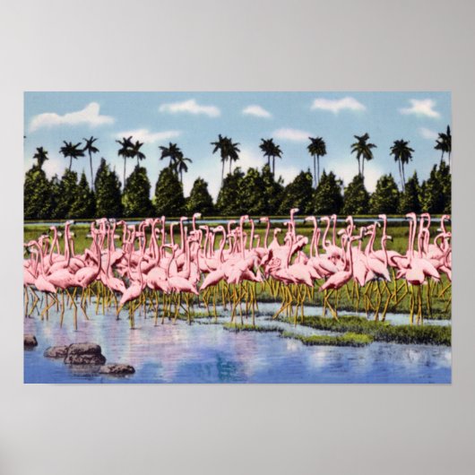 Florida Flock von Coral Flamingos Poster (Vorne)