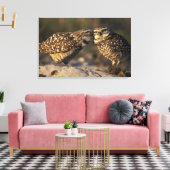 Florida, Fort Myers. Brennen der Owl Paare Leinwanddruck (Insitu (Wohnzimmer))