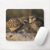 Florida, Fort Myers. Brennen der Owl Paare Mousepad (Mit Mouse)