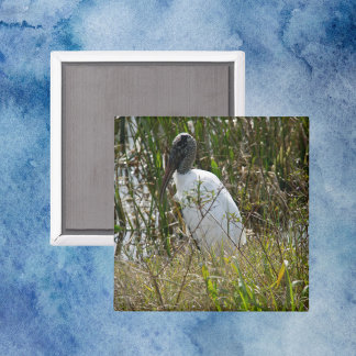 Florida-Foto für die Feuchtgebiete von Waldstorche Magnet