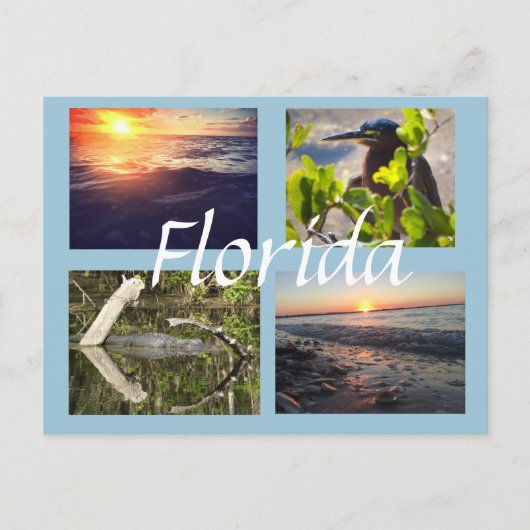 Florida-Fotografie Postkarte (Vorderseite)