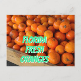 FLORIDA FRESH ORANGES Farmer's Market Grove Postkarte
