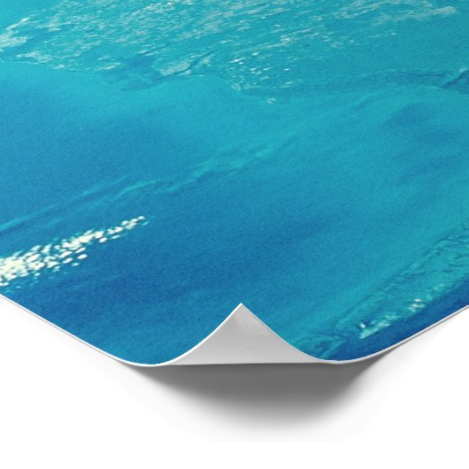 Florida from Space Poster (Ecke)