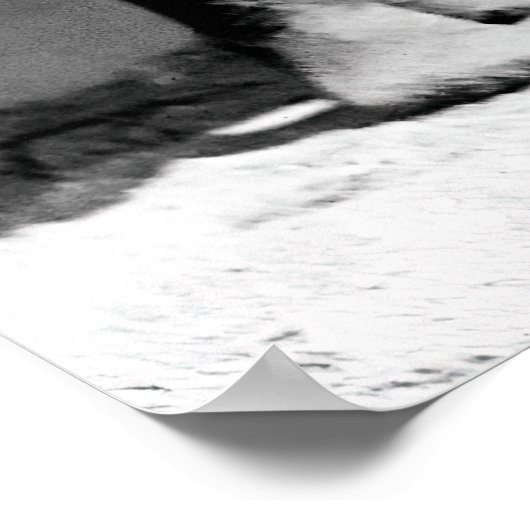 Florida Frühlingspause Badefreuden 1920 Poster (Ecke)