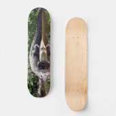 Florida Gator - American Alligator Skateboard (Vorderseite)