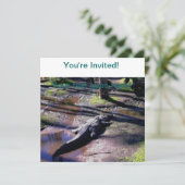 Florida Gator Einladung (Stehend Vorderseite)