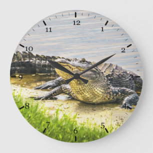 Florida gator große wanduhr
