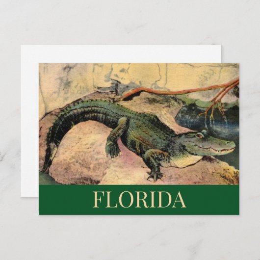 Florida Gator Postcard Postkarte (Vorne/Hinten)