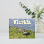 Florida Gator Postcard Postkarte (Stehend Vorderseite)