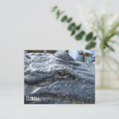 Florida Gator Postkarte (Stehend Vorderseite)