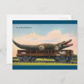 Florida Giant Alligator Vintage Reise Postkarte (Vorne/Hinten)