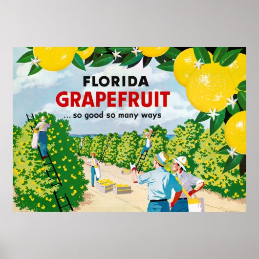 Florida Grapefruit 1930er Jahre Vintage Poster (Vorne)