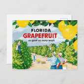 Florida Grapefruit 1930er Jahre Vintage Poster Postkarte (Vorne/Hinten)