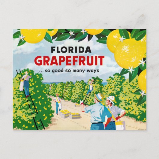 Florida Grapefruit 1930er Jahre Vintage Poster Postkarte (Vorderseite)
