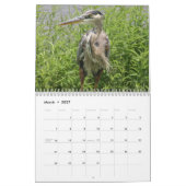 FLORIDA-GRAUREIHER KALENDER (Mär 2027)