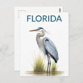Florida Great Blue Heron Bird Travel Postkarte (Vorne/Hinten)
