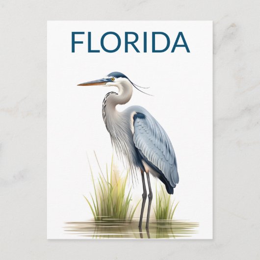 Florida Great Blue Heron Bird Travel Postkarte (Vorderseite)