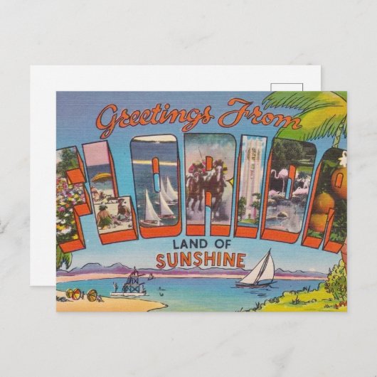 Florida Greetings Postkarte (Vorne/Hinten)