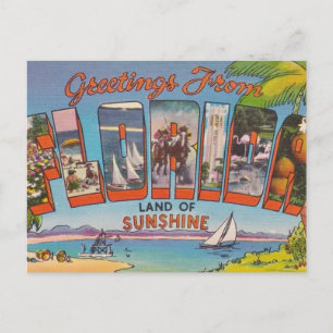 Florida Greetings Postkarte
