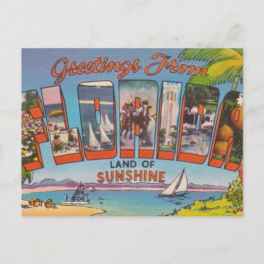 Florida Grüße Postkarte (Vorderseite)