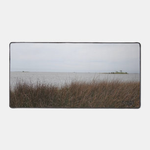 Florida Gulf Beach Das Needlerush Foto verbietet Schreibtischunterlage