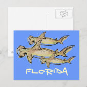 Florida Hammerhaie nach Karte (Vorne/Hinten)