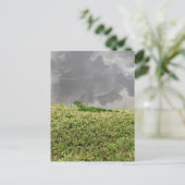 Florida Iguana Postcard Postkarte (Stehend Vorderseite)