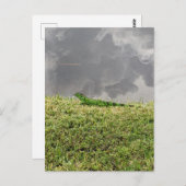 Florida Iguana Postcard Postkarte (Vorne/Hinten)