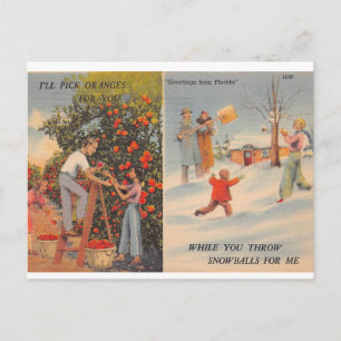 Florida im Winter Postkarte