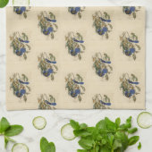 Florida Jay (Scrub-Jay) Audubons Vögel von Amerika Geschirrtuch (Gefaltet)