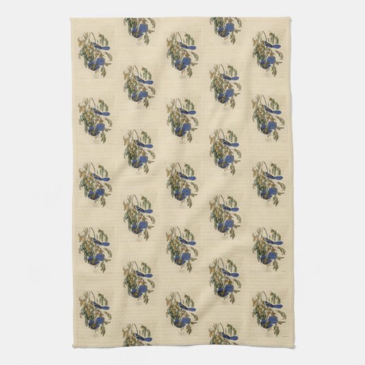 Florida Jay (Scrub-Jay) Audubons Vögel von Amerika Geschirrtuch (Vertikal)