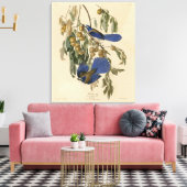 Florida Jay (Scrub-Jay) Audubons Vögel von Amerika Leinwanddruck (Insitu (Wohnzimmer))