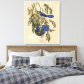 Florida Jay (Scrub-Jay) Audubons Vögel von Amerika Leinwanddruck (Insitu (Schlafzimmer))