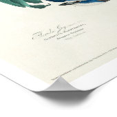 Florida Jay von Audubon Poster (Ecke)