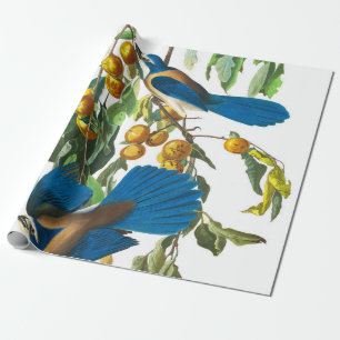 Florida Jay von John James Audubon Geschenkpapier