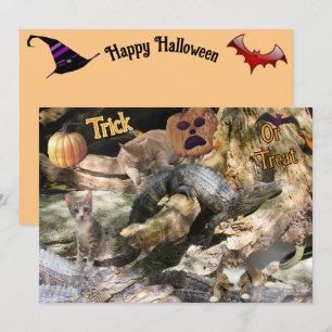 Florida-Katze und Alligator-Grußkarte Feiertagskarte