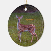 Florida Key irer Juvenile Fawn Fotografie Keramik Ornament (Links)