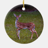 Florida Key irer Juvenile Fawn Fotografie Keramik Ornament (Hinten)